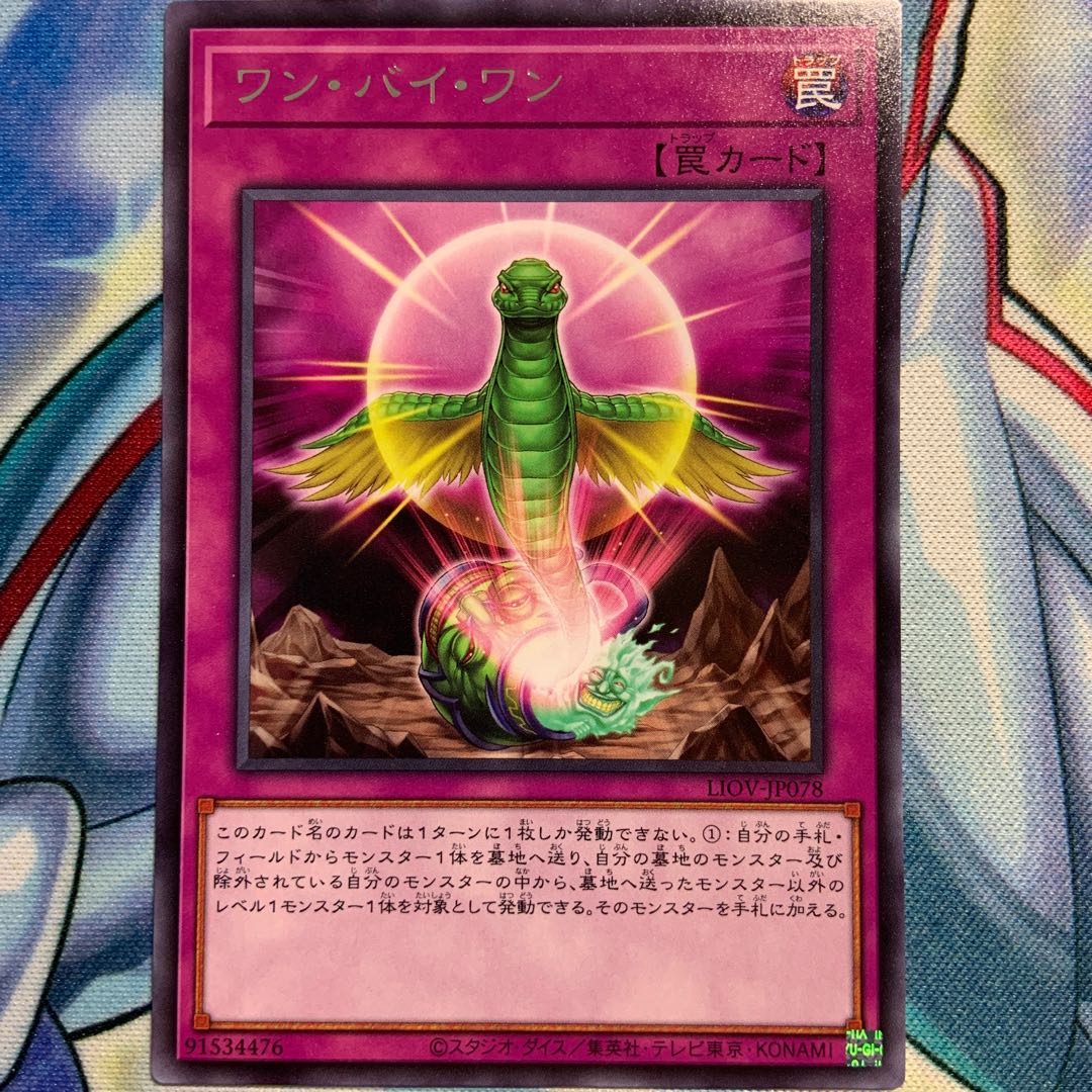 【R】ワン・バイ・ワン 2枚 LIOV-JP078