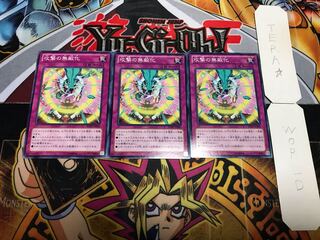 Impenetrable Attack Normal, set of 3 Tera.