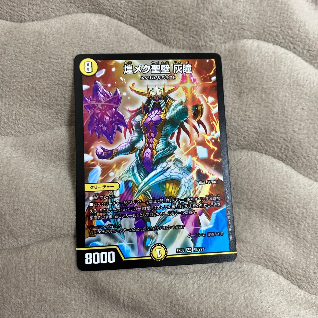 煌メク聖壁 灰瞳