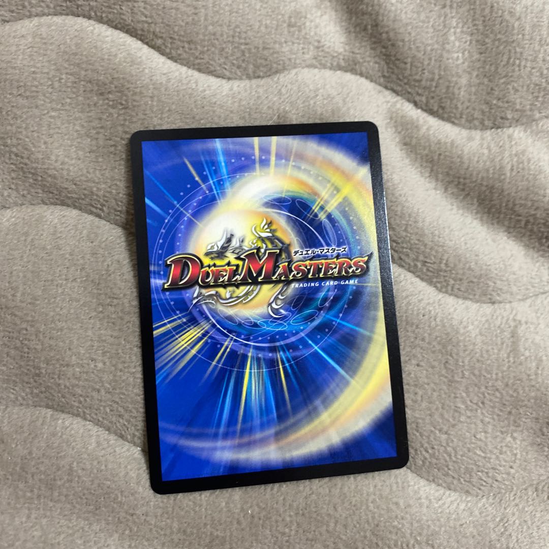 煌メク聖壁 灰瞳