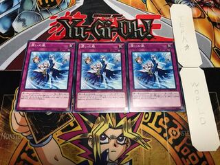 潤いの風 ノーマル 3枚セット てら