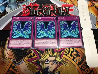 幻影翼 ノーマル 3枚セット てら