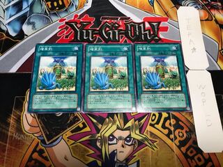 Miracle Fertilizer Normal, set of 3 Tera.