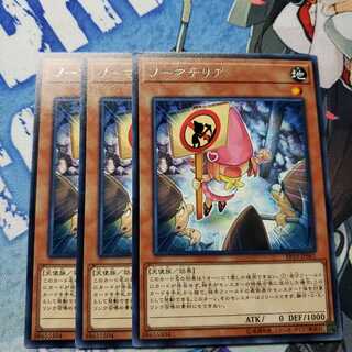 ノーマテリア レア