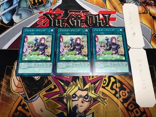 アロマガーデニング ノーマル 3枚セット てら