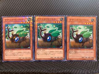 【ぽぽたん】遊戯王 10620 ナチュル・ビートル 3枚 ノーマル