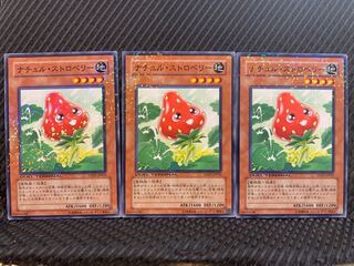 【ぽぽたん】遊戯王 10625 ナチュル・ストロベリー 3枚 ノーマル