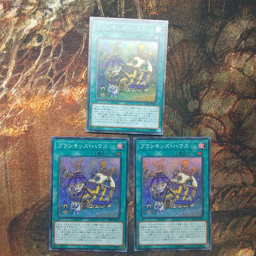 プランキッズ・ハウス 3枚