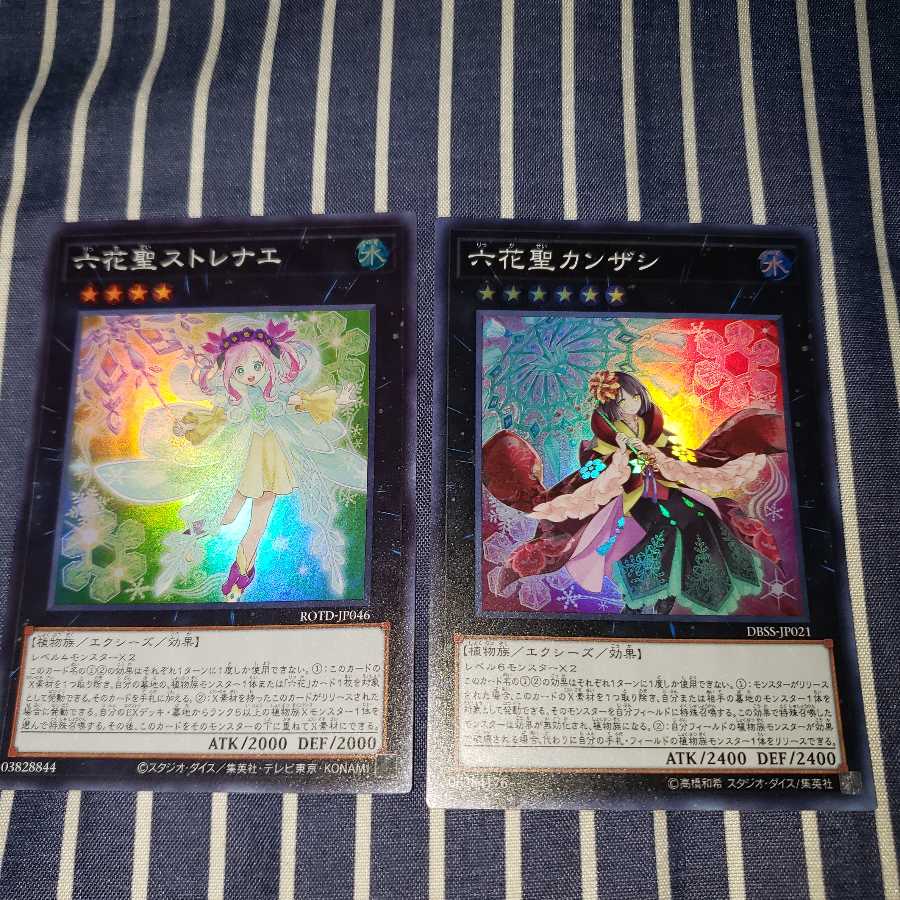 六花聖ストレナエ&カンザシセット