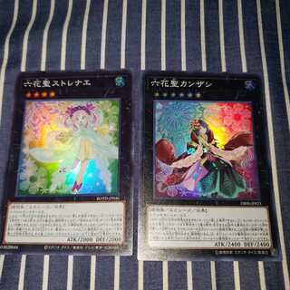六花聖ストレナエ&カンザシセット