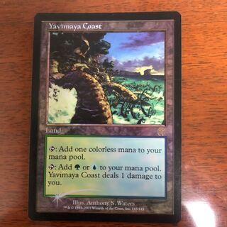 MTG/ヤヴィマヤの沿岸/FOIL/アポカリプス Amazon.co.jp: kw1 67 ヤヴィマヤの沿岸 Foil MTG APC