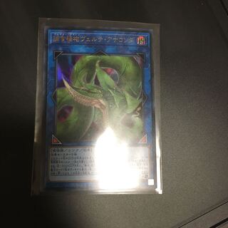 捕食植物ヴェルテ・アナコンダ ウルトラレア