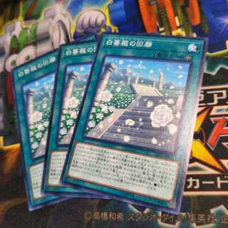 遊戯王　白薔薇の回廊