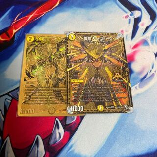 煌龍 サッヴァーク