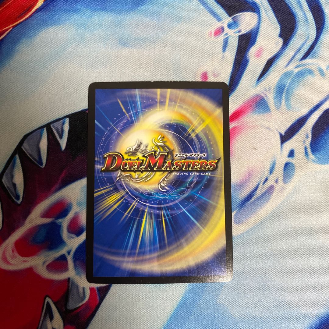 煌龍 サッヴァーク