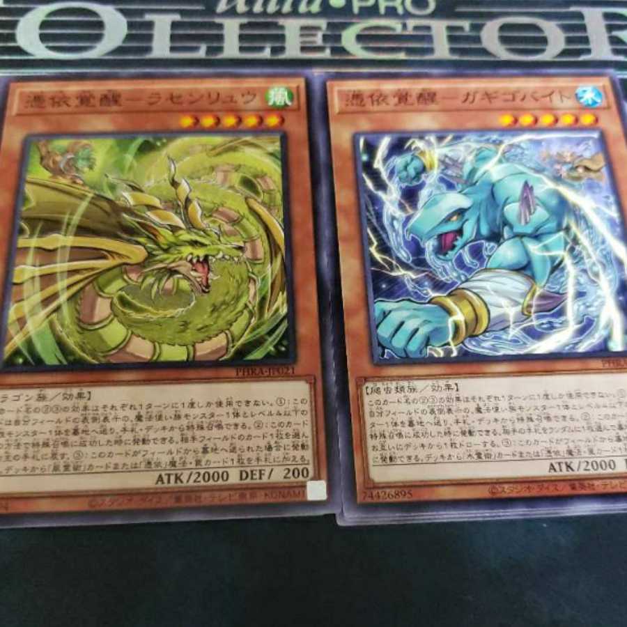 3 each of Rasenlü and Ga Gigobyte