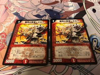 楯神の賢者レオルド