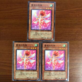 薔薇の妖精 N 3枚セット