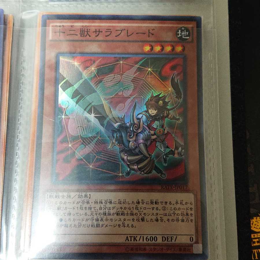 友雷様専用十二獣サラブレード アストラムセット