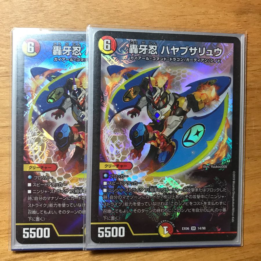 ハヤブサリュウ