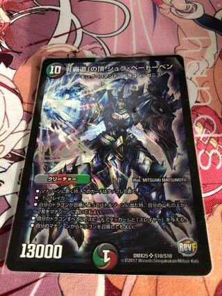 「覇道」の頂 シュラ・ベートーベン