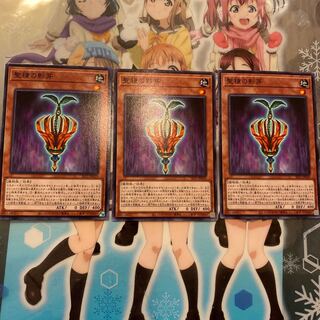 聖種の影芽 SLT1-JP029（ノーマル）