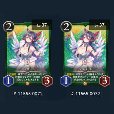 2枚セット ショパート