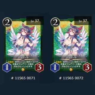 2枚セット ショパート