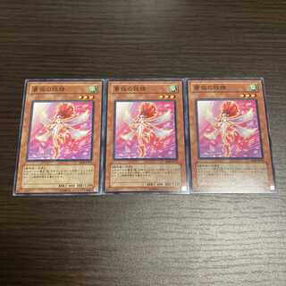 薔薇の妖精 ノーマル