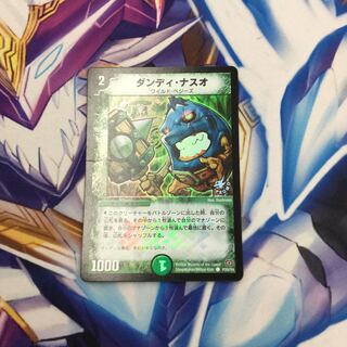 ダンディ・ナスオ C-foil【06390-38】