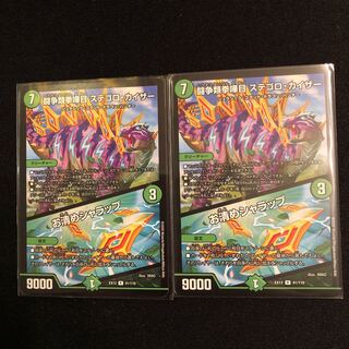 闘争類拳嘩目 ステゴロ・カイザー｜お清めシャラップ