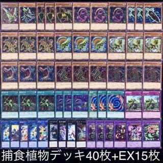 遊戯王　捕食植物デッキ40枚+EX15/gp02