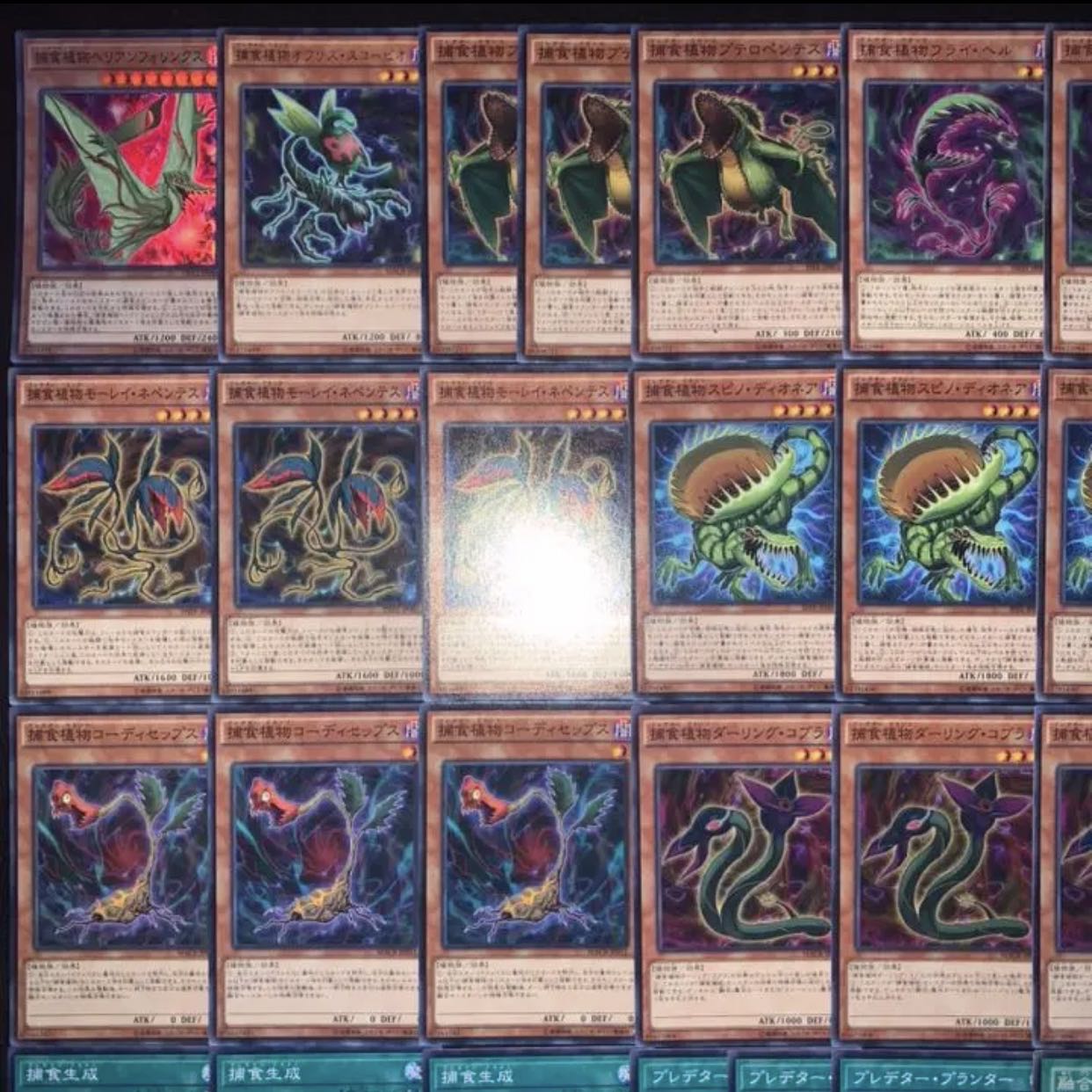 遊戯王 捕食植物デッキ40枚+EX15/gp02