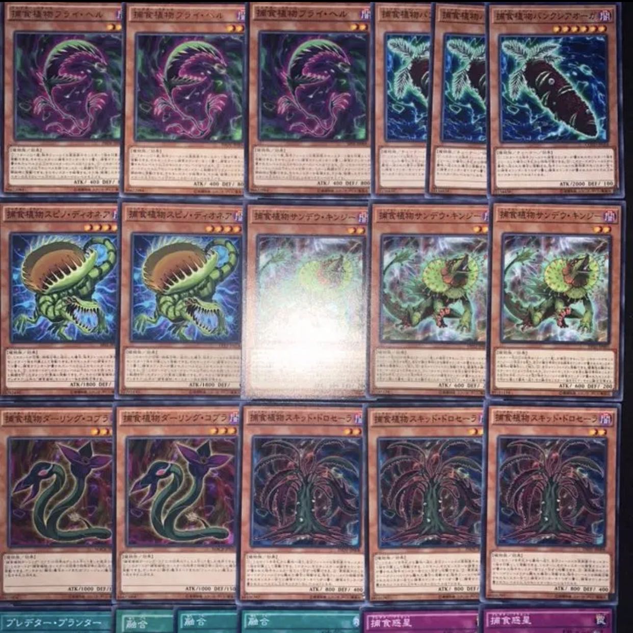 遊戯王 捕食植物デッキ40枚+EX15/gp02