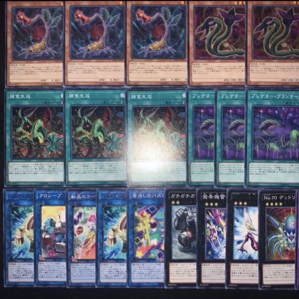 遊戯王 捕食植物デッキ40枚+EX15/gp02