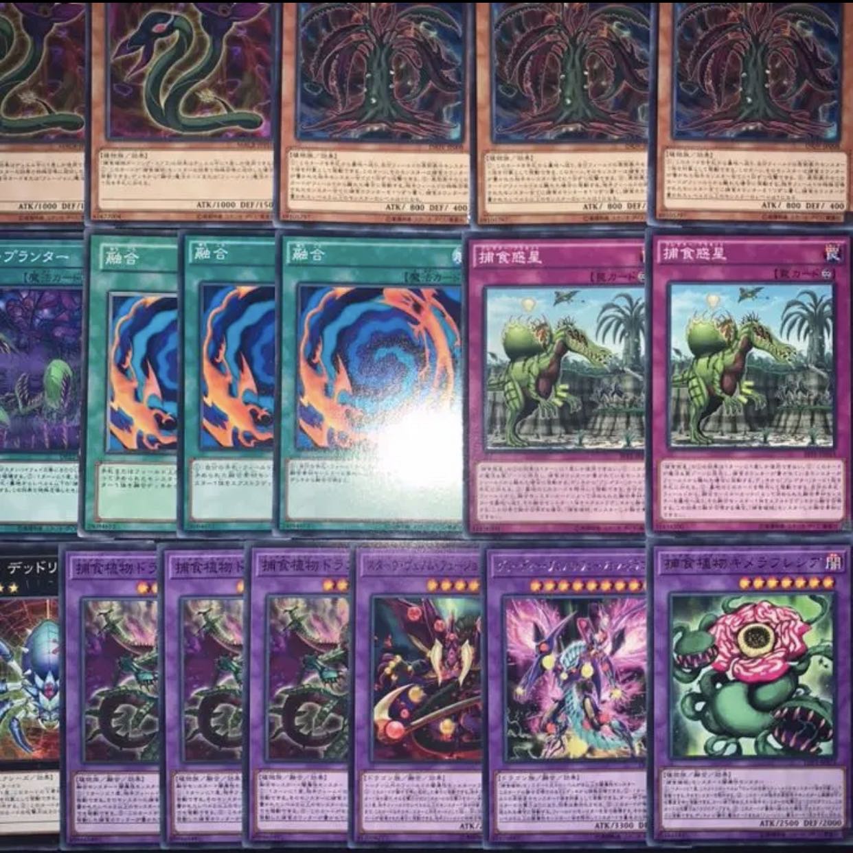 遊戯王 捕食植物デッキ40枚+EX15/gp02