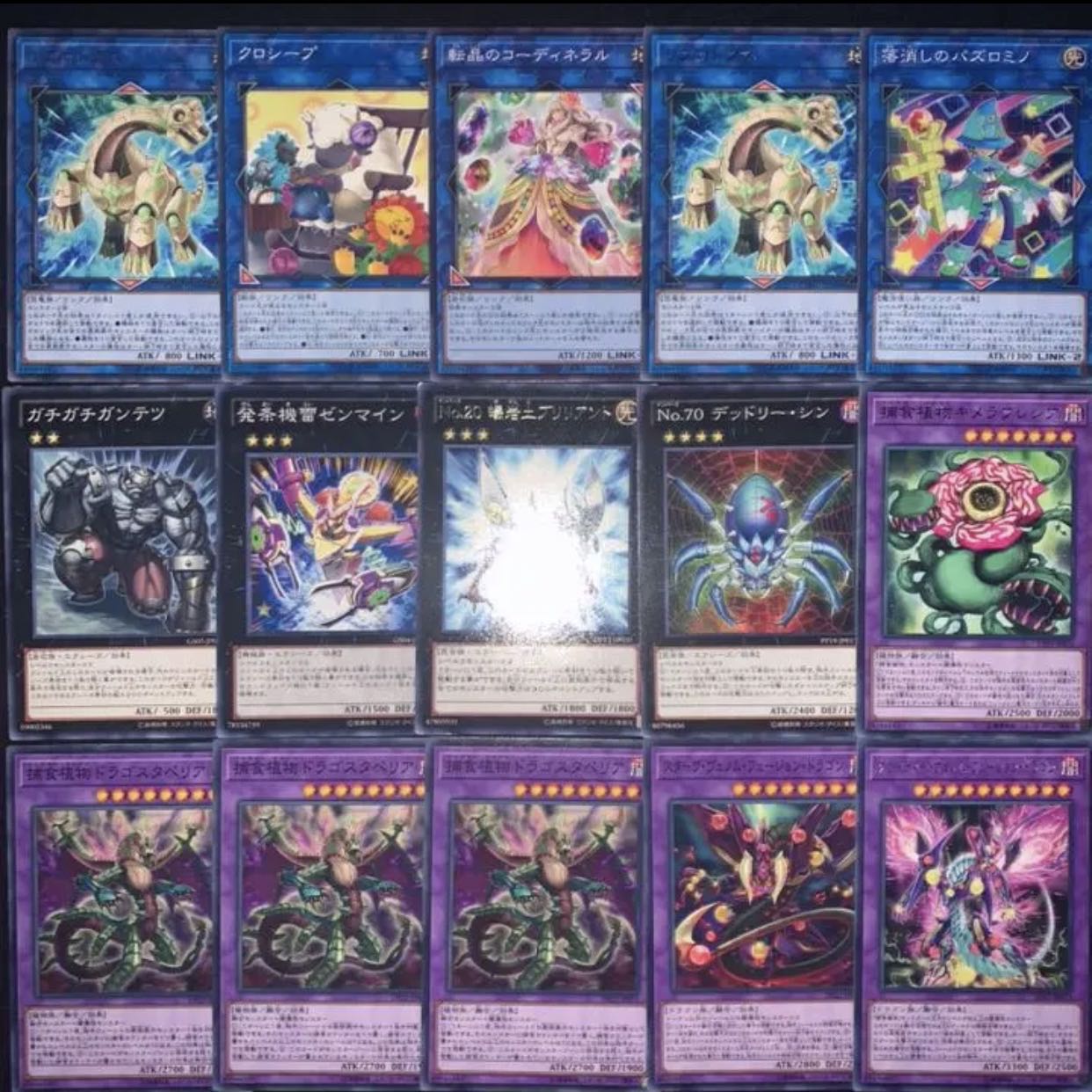 遊戯王 捕食植物デッキ40枚+EX15/gp02