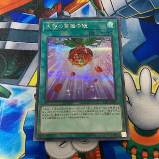 天啓の薔薇の鐘 シークレットレア