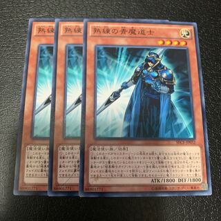 熟練の青魔道士 ノーマル