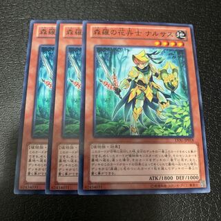 森羅の花卉士 ナルサス ノーマル