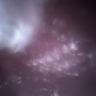 きゅうり様専用