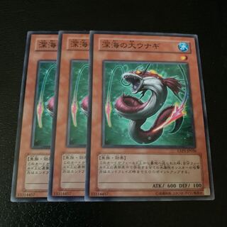 深海の大ウナギ ノーマル