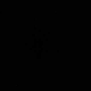 ゆうゆう様専用②