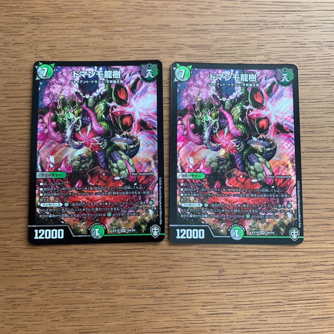 ドマンモ龍樹2枚