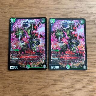ドマンモ龍樹2枚