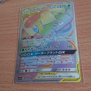 フシギバナ＆ツタージャGX HR