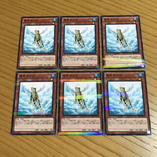 黄泉ガエル パラレル ノーマル　6枚セット