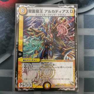 聖霊龍王 アルカディアスD