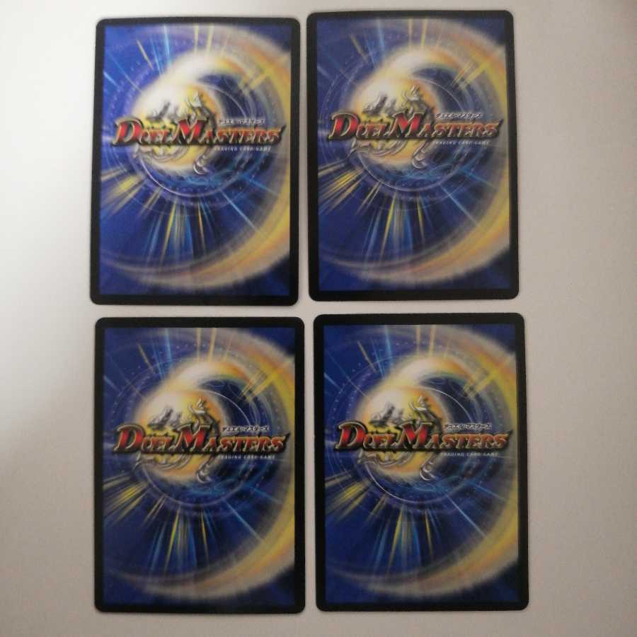 闘争類拳嘩目 ステゴロ・カイザー|お清めシャラップ