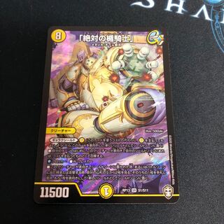 「絶対の楯騎士」